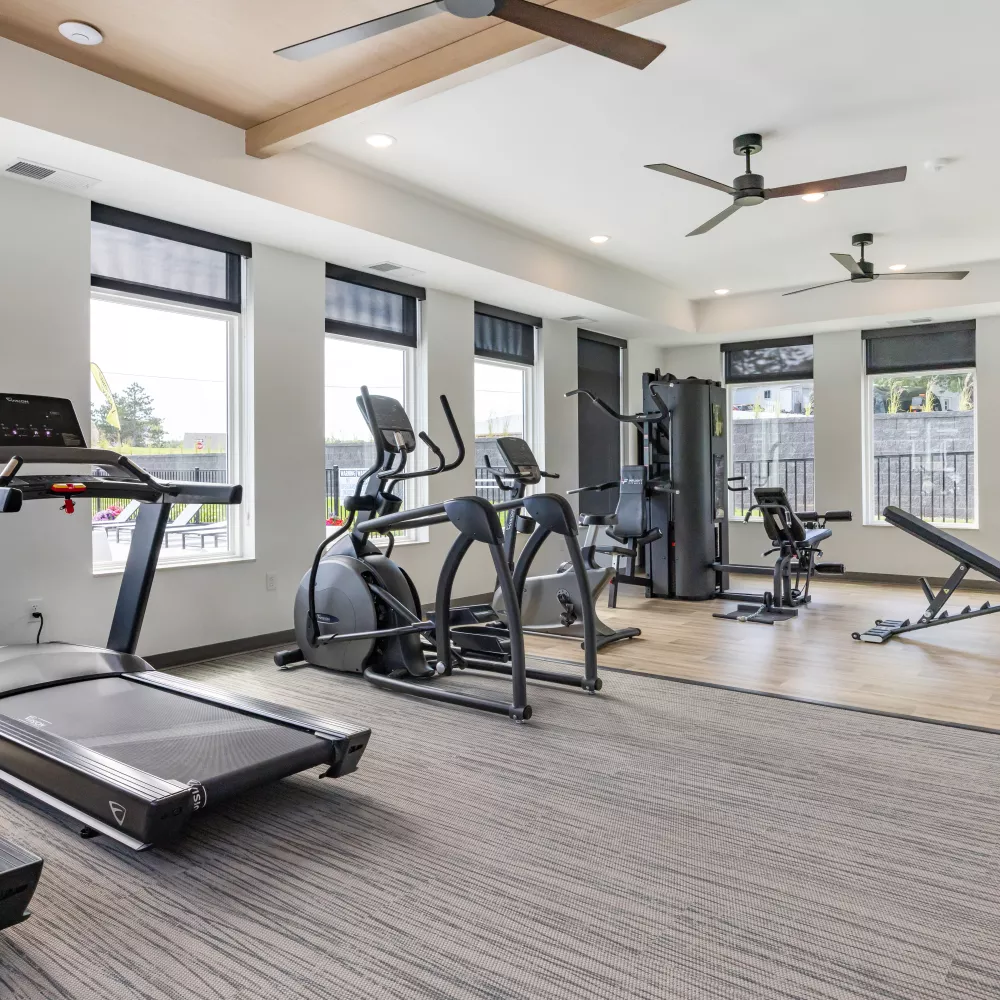 Spacious, well-lit gym with treadmills, ellipticals, weight machines, and dumbbells. Large windows offer a view of an outdoor pool.