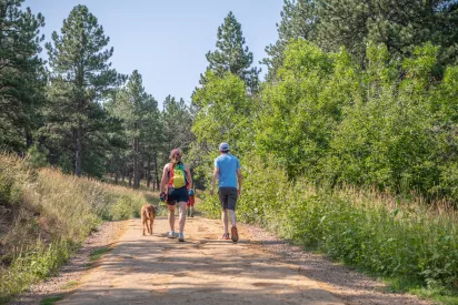Couple hiking with dog on forest trail in summer, surrounded by pine trees and bright green foliage